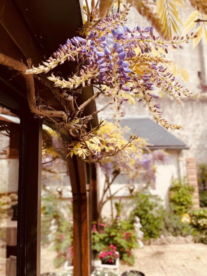 Hotel De La Sologne Beaugency Zewnętrze zdjęcie