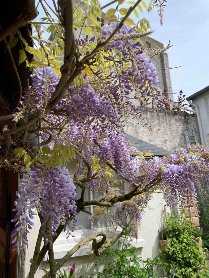 Hotel De La Sologne Beaugency Zewnętrze zdjęcie